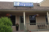 Winnipesaukee Bay Gulls